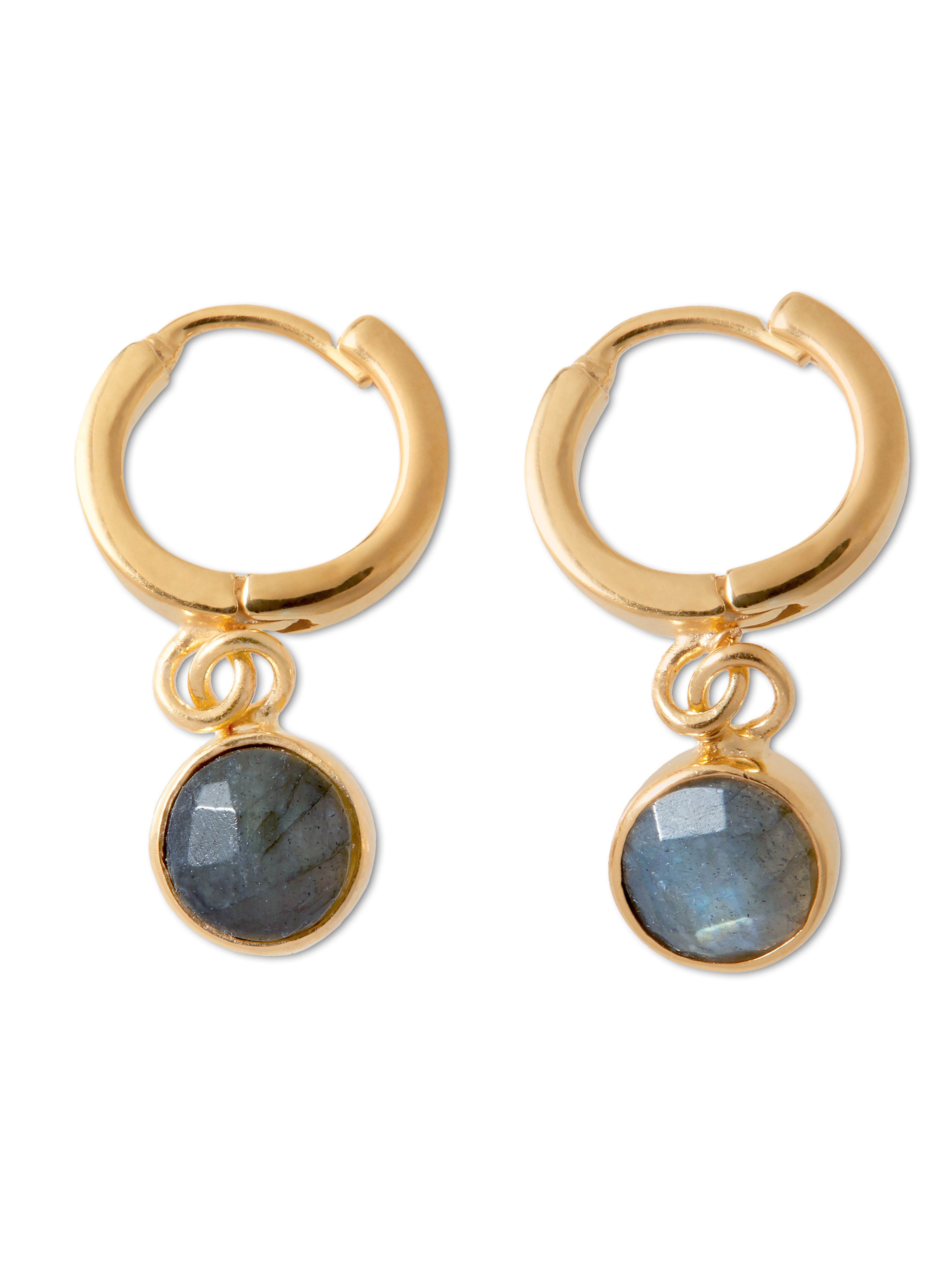 Hoops Round Cut Earrings