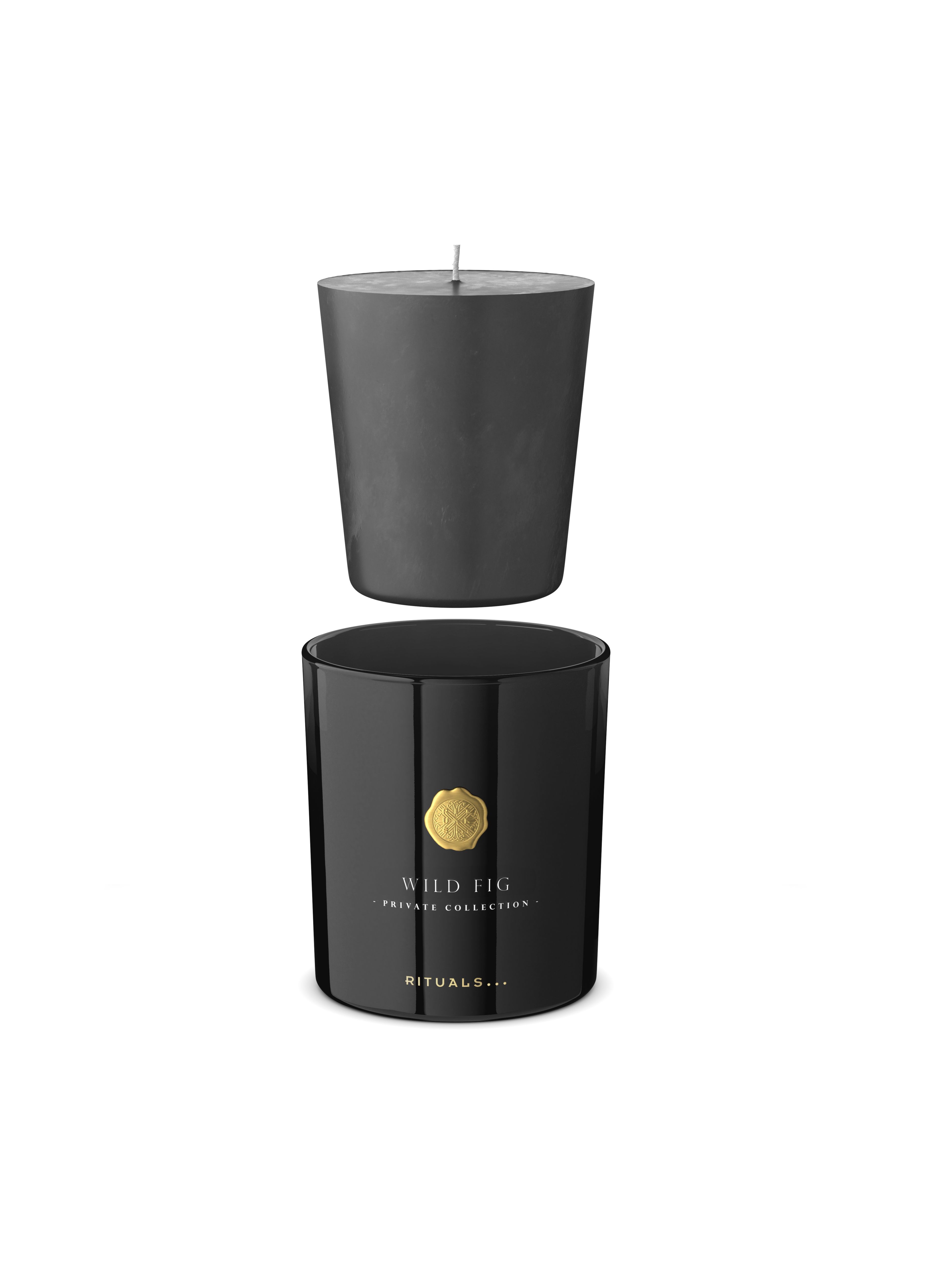 Wild Fig Refill Scented Candle