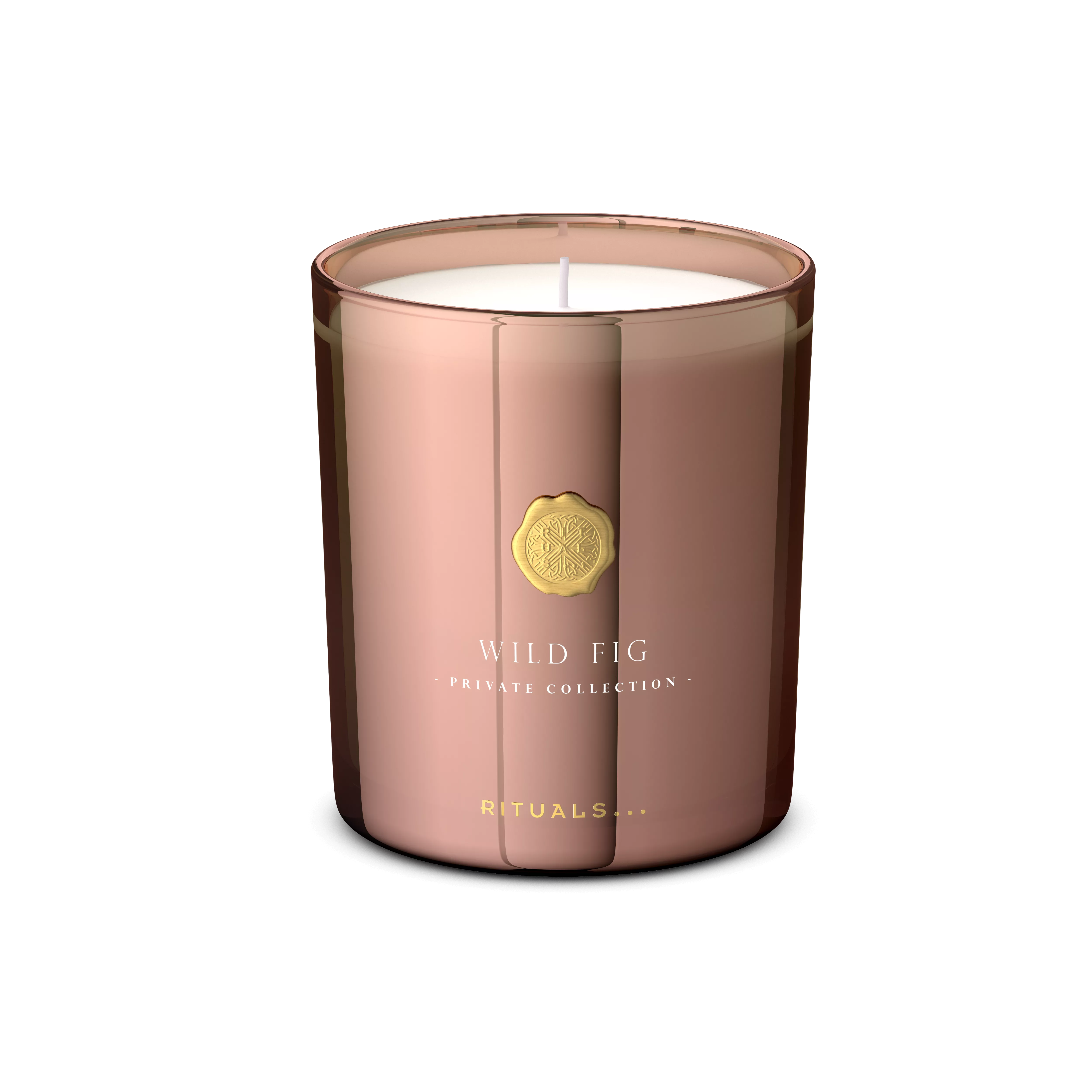 Wild Fig Scented Candle