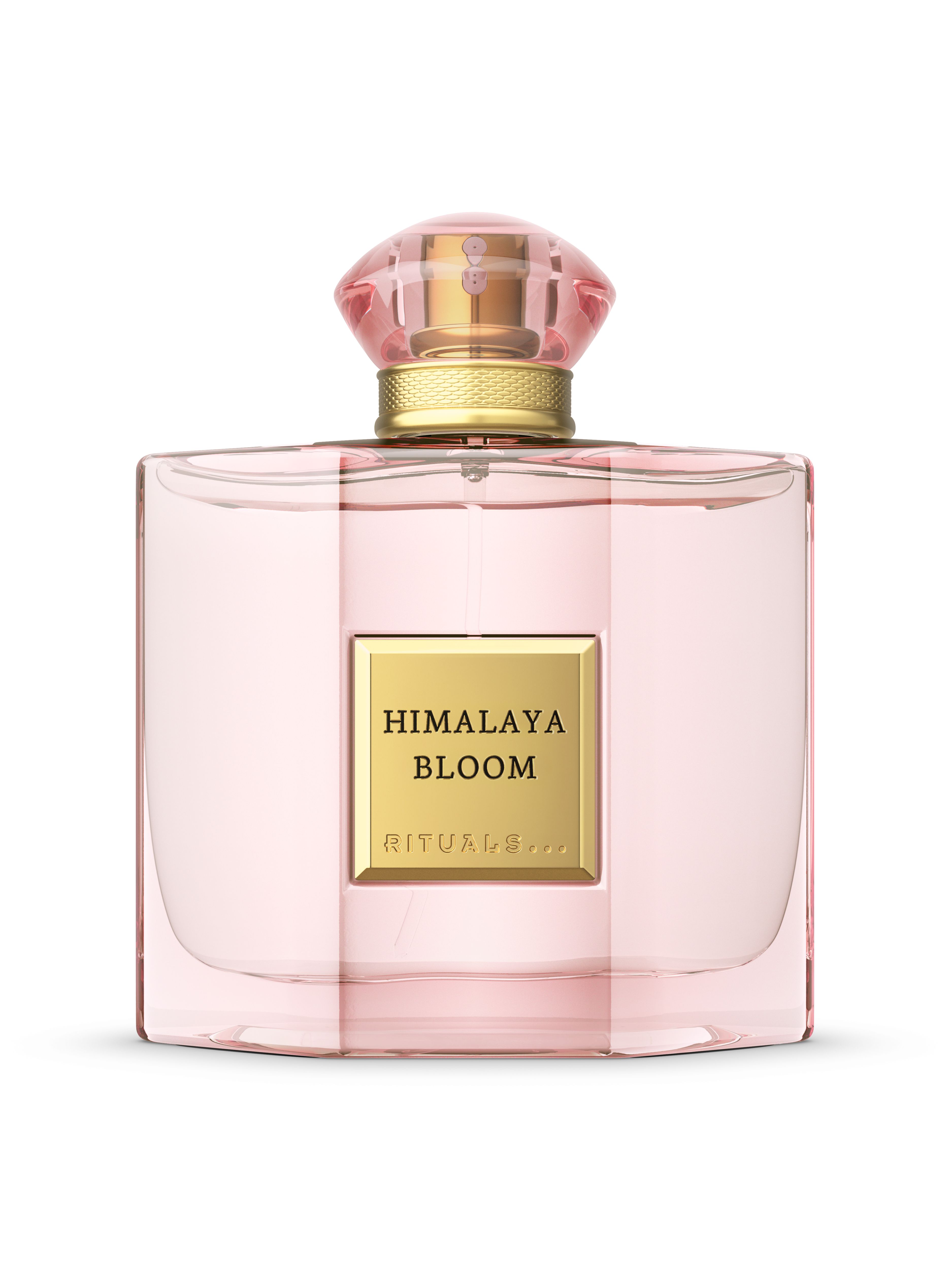 Himalaya Bloom