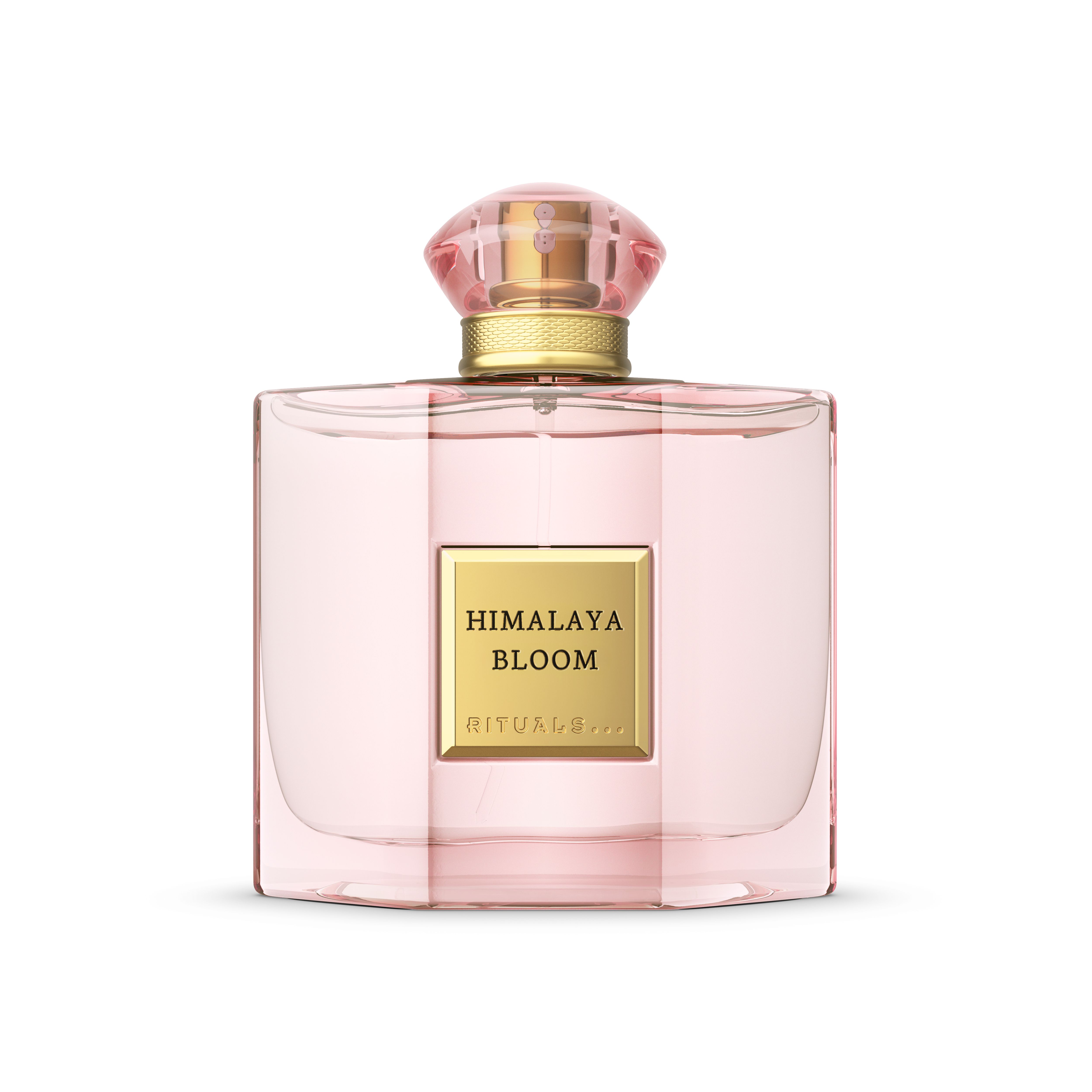 Himalaya Bloom