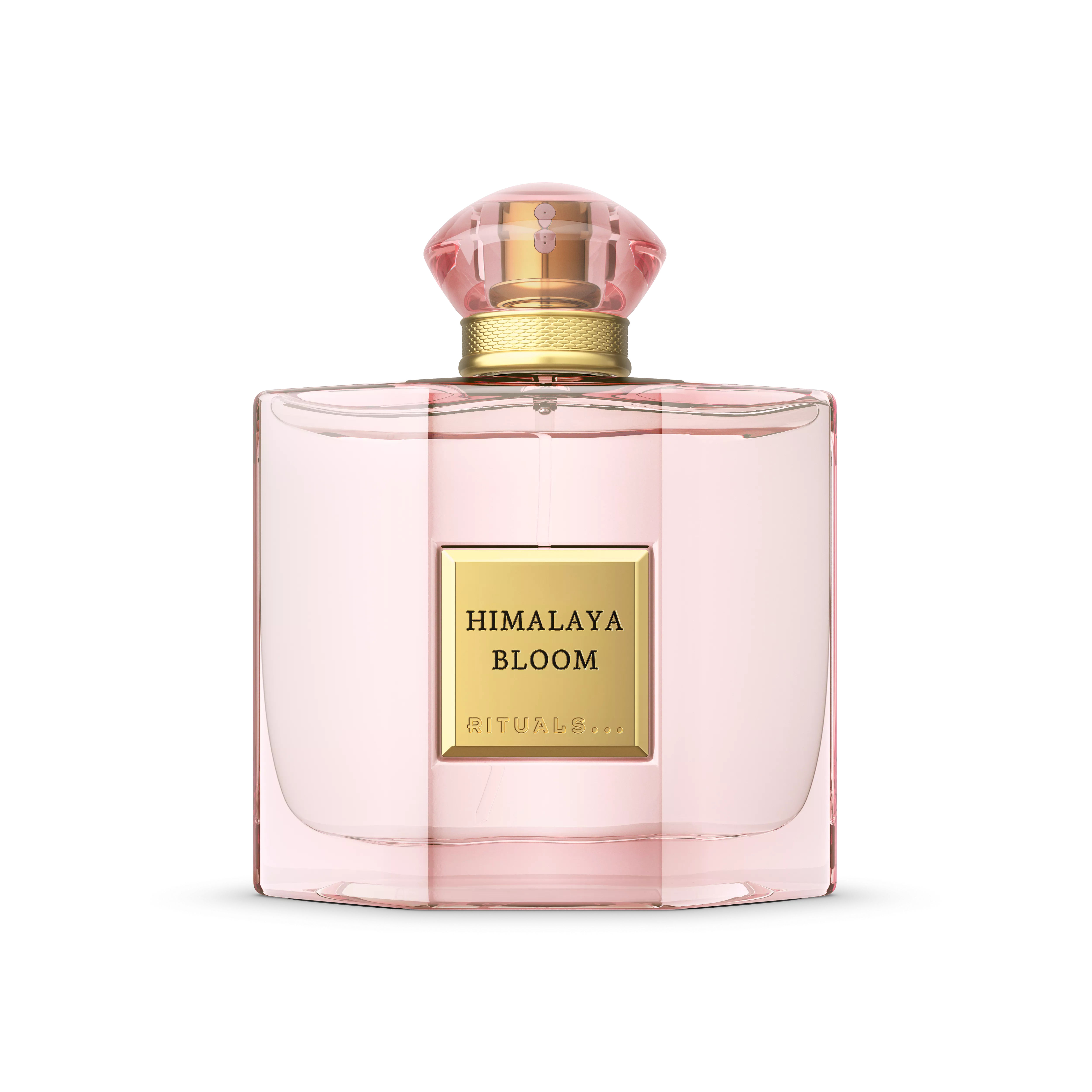 Himalaya Bloom