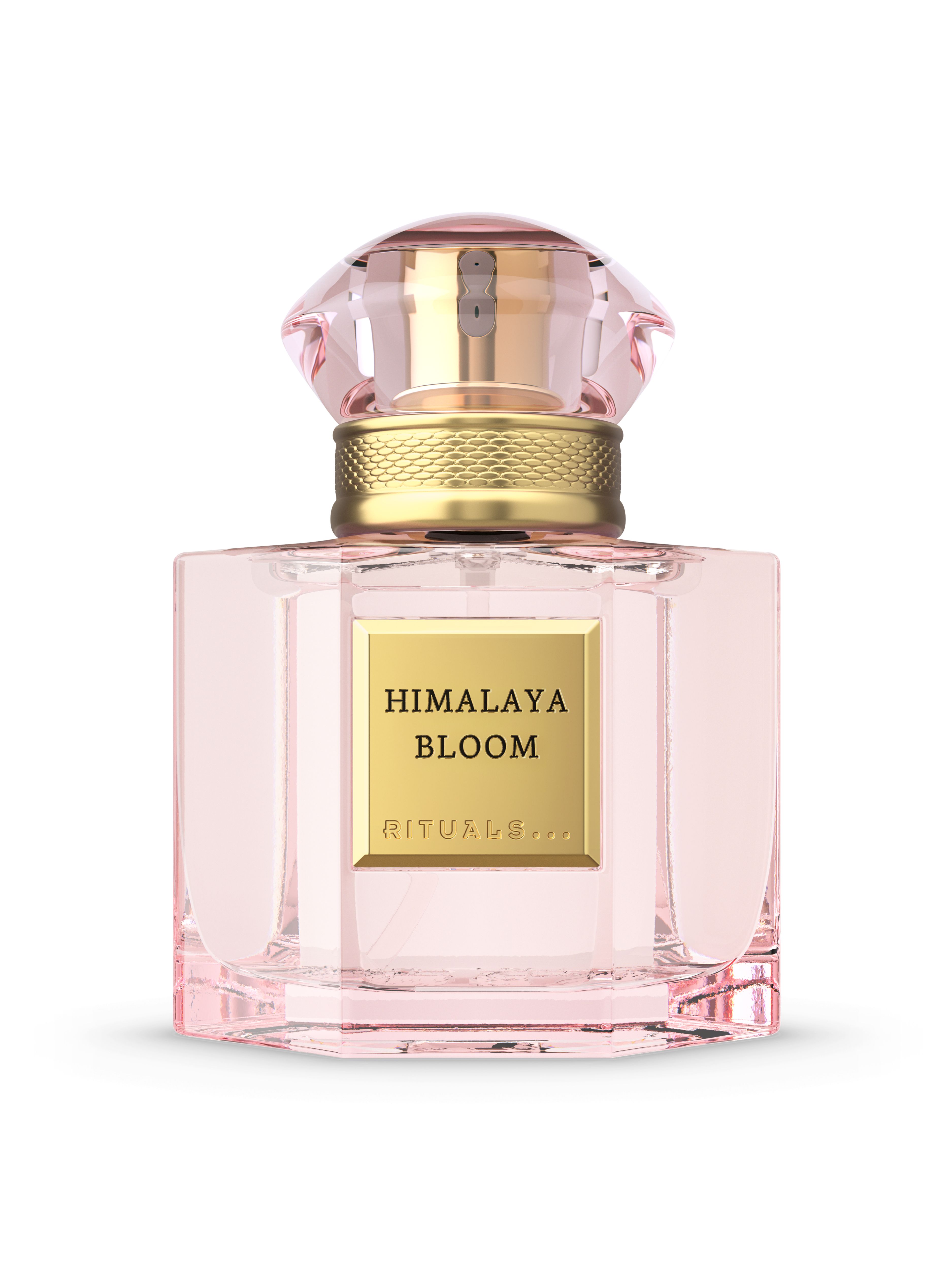 Travel - Himalaya Bloom