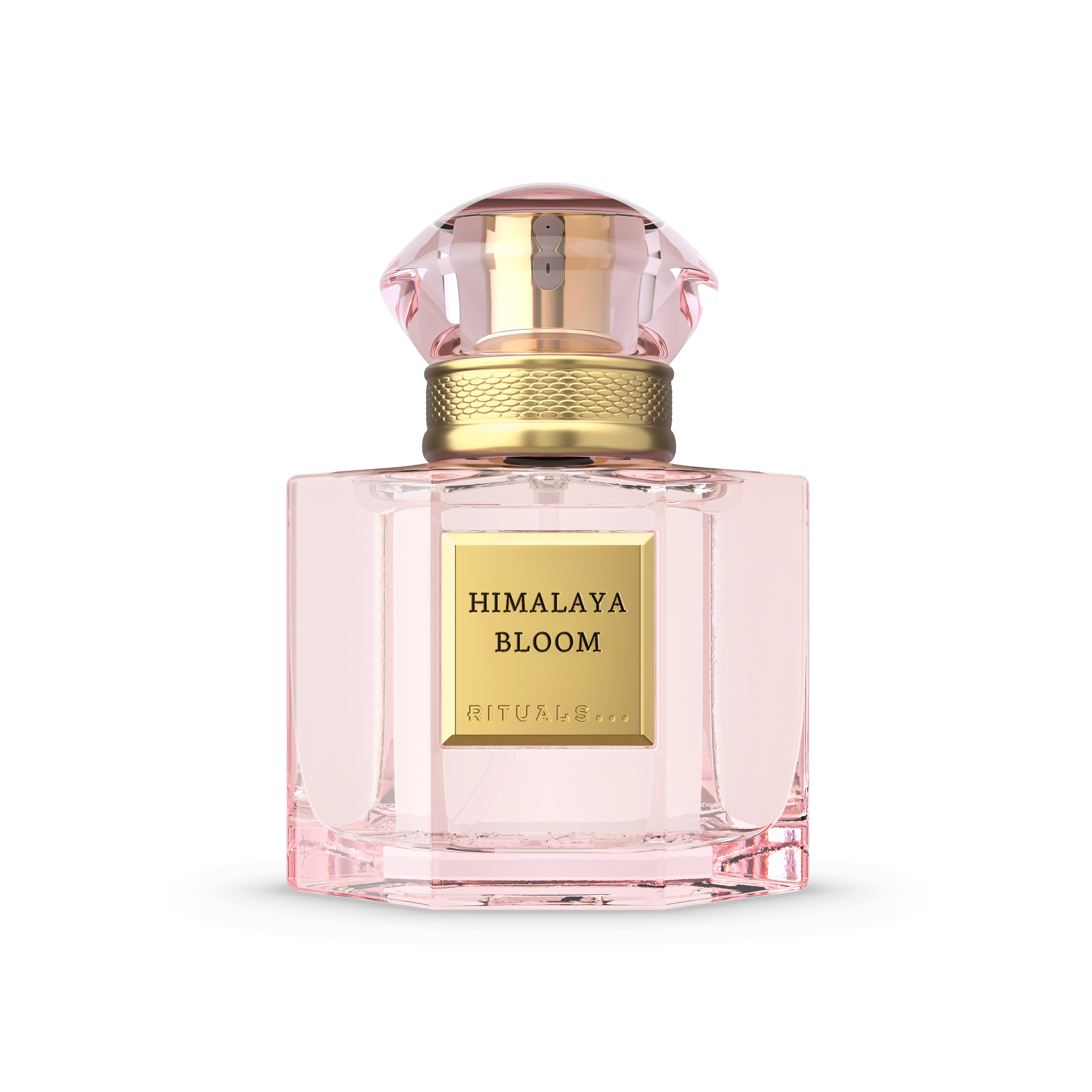 Travel - Himalaya Bloom