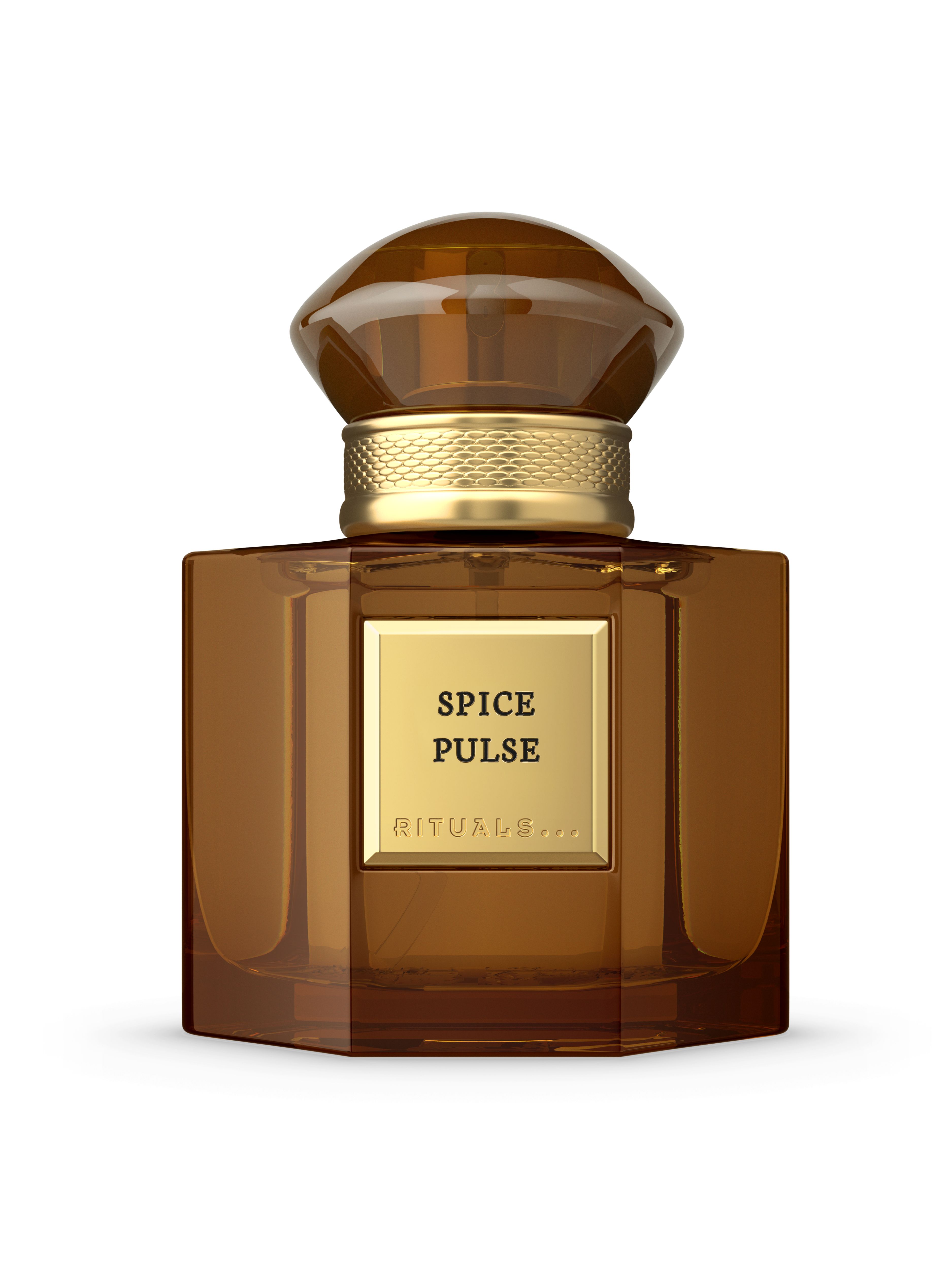 Travel - Spice Pulse