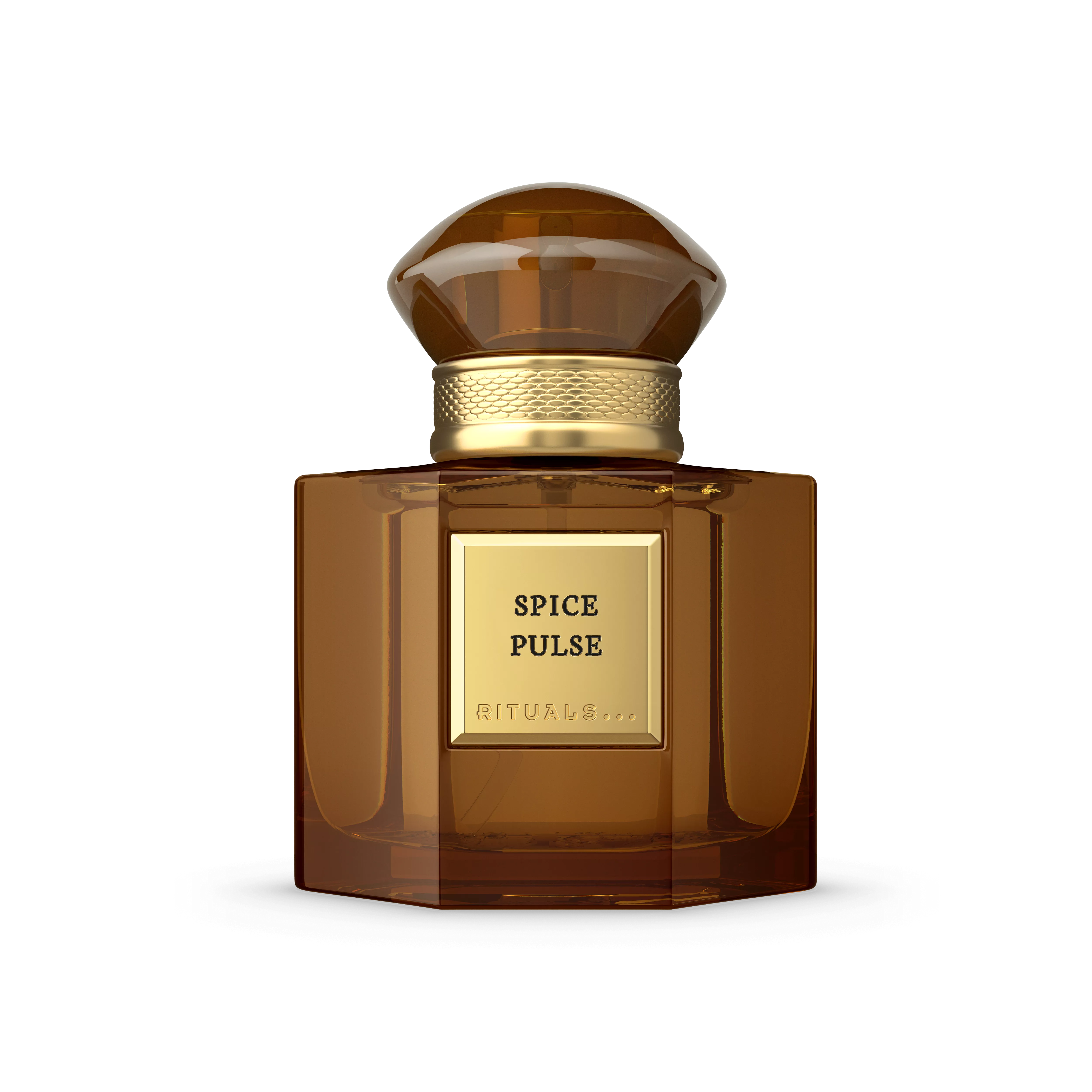 Travel - Spice Pulse