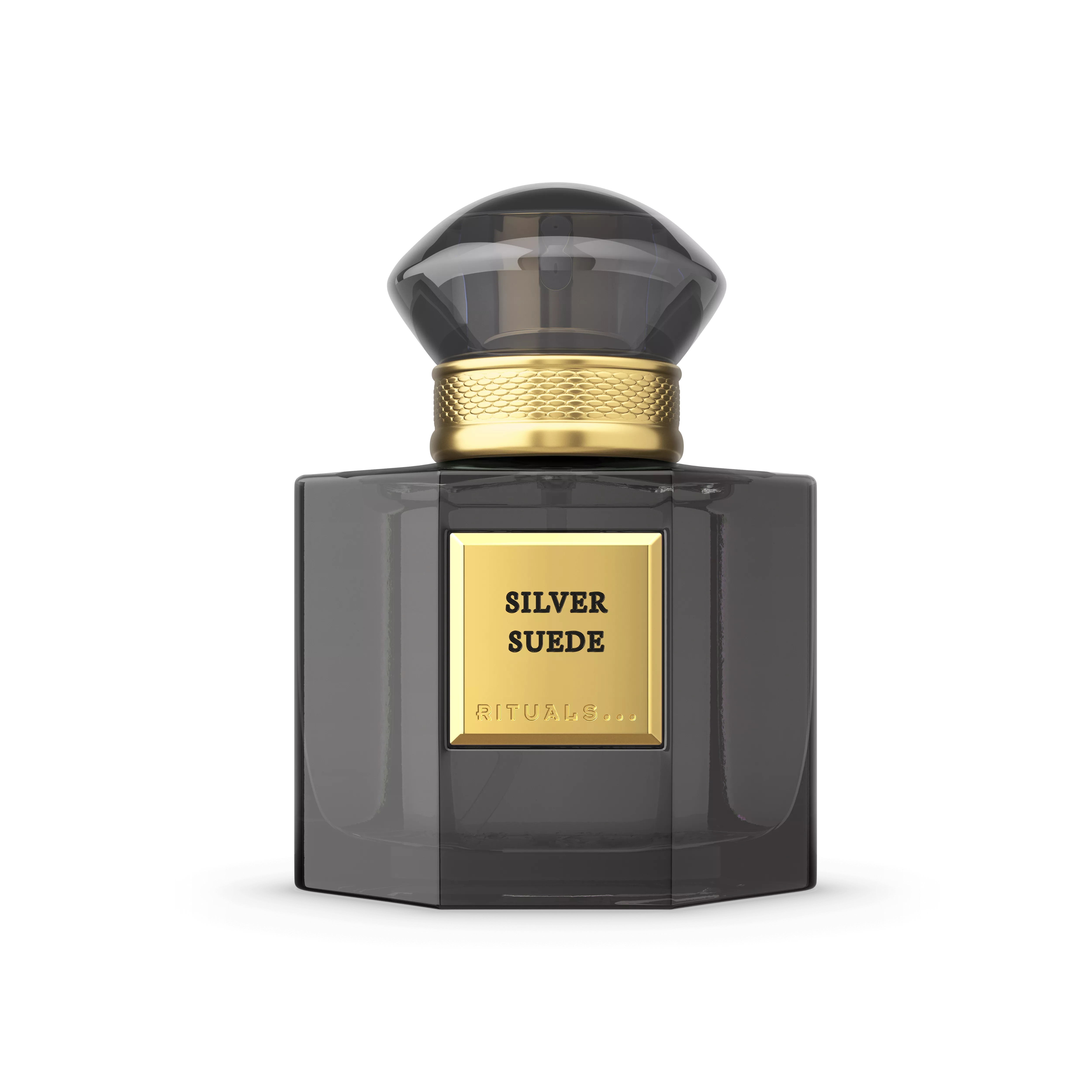 Travel - Silver Suede