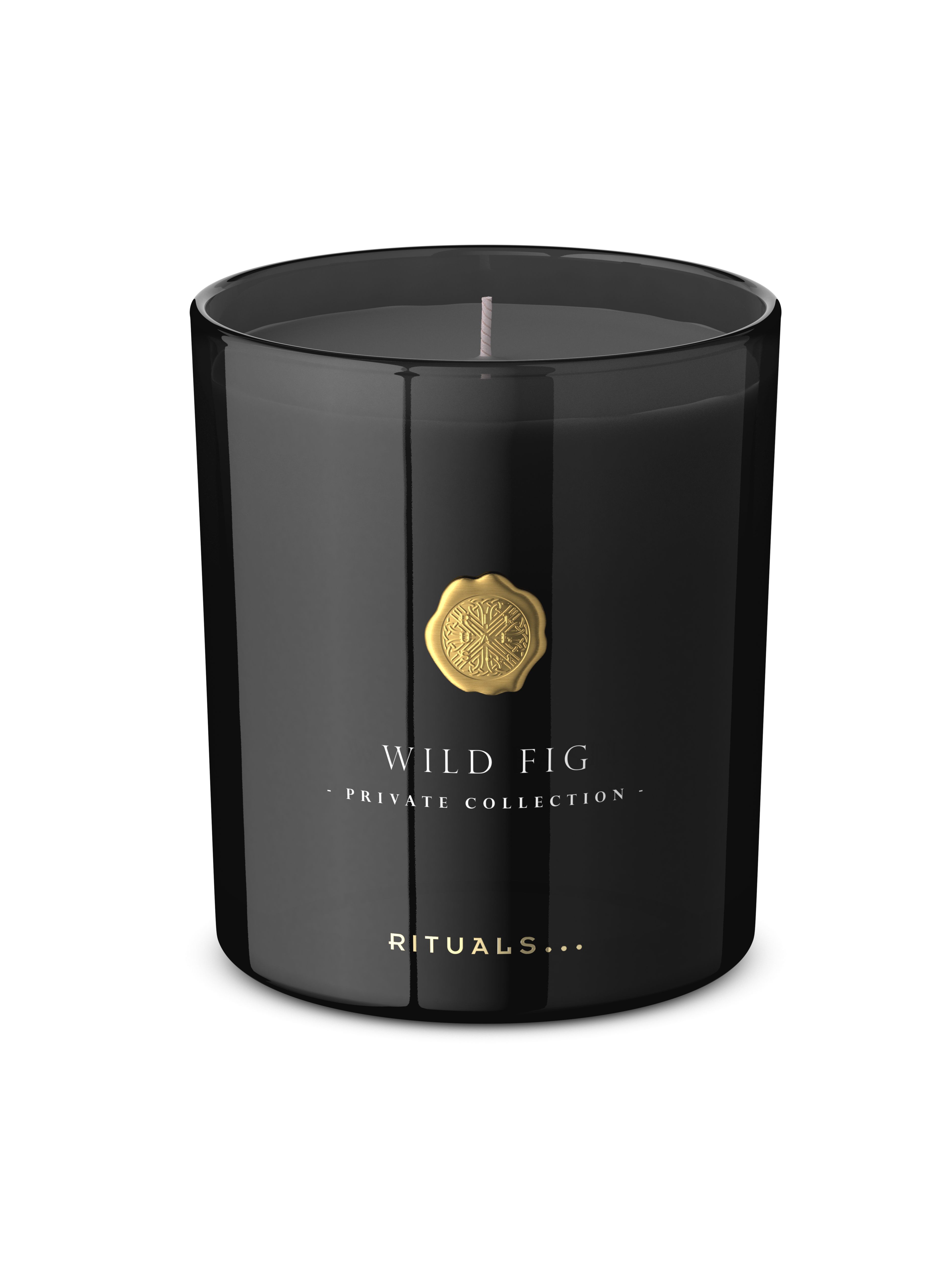 Wild Fig Scented Candle