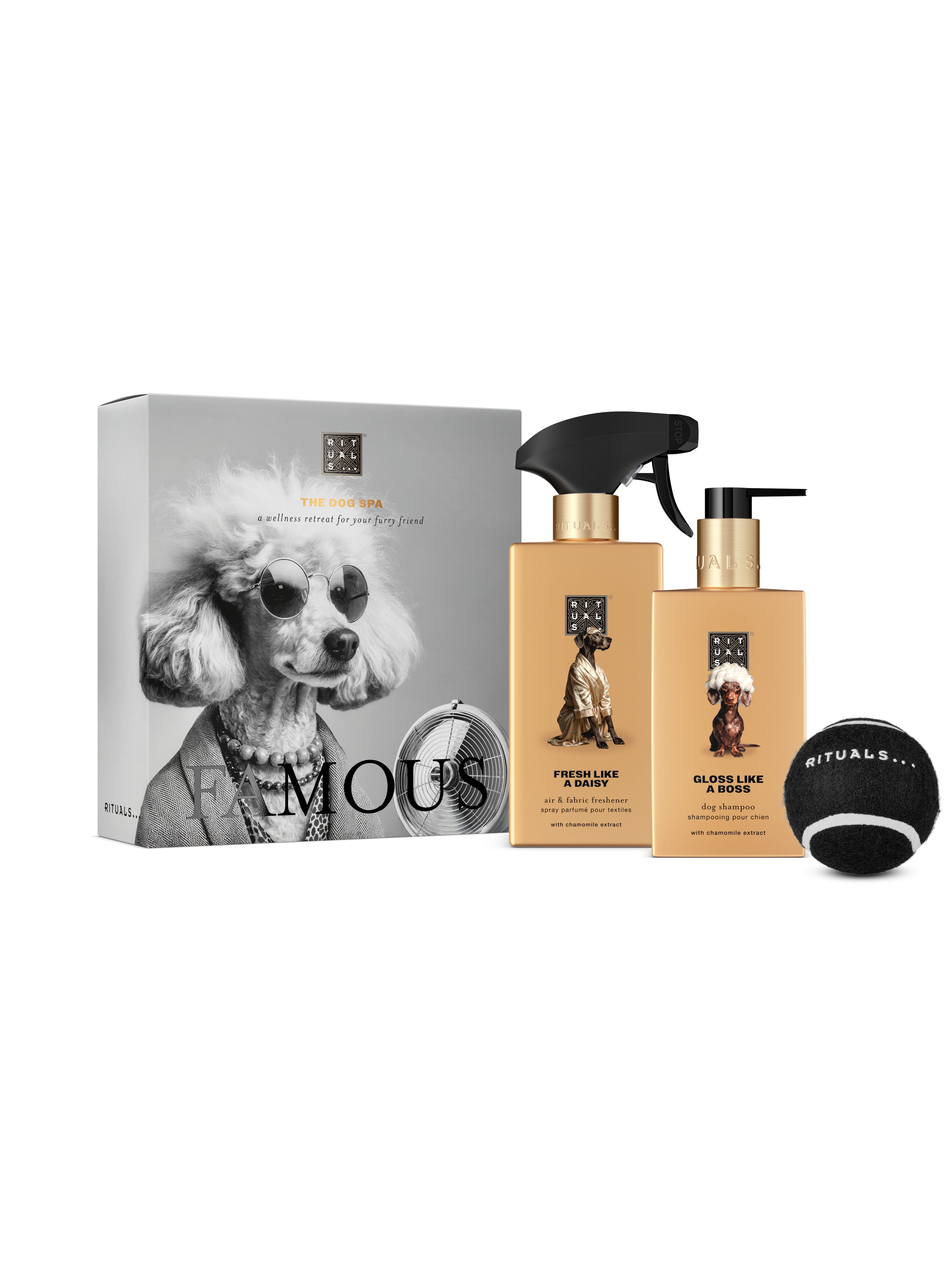 Dog Essentials Set