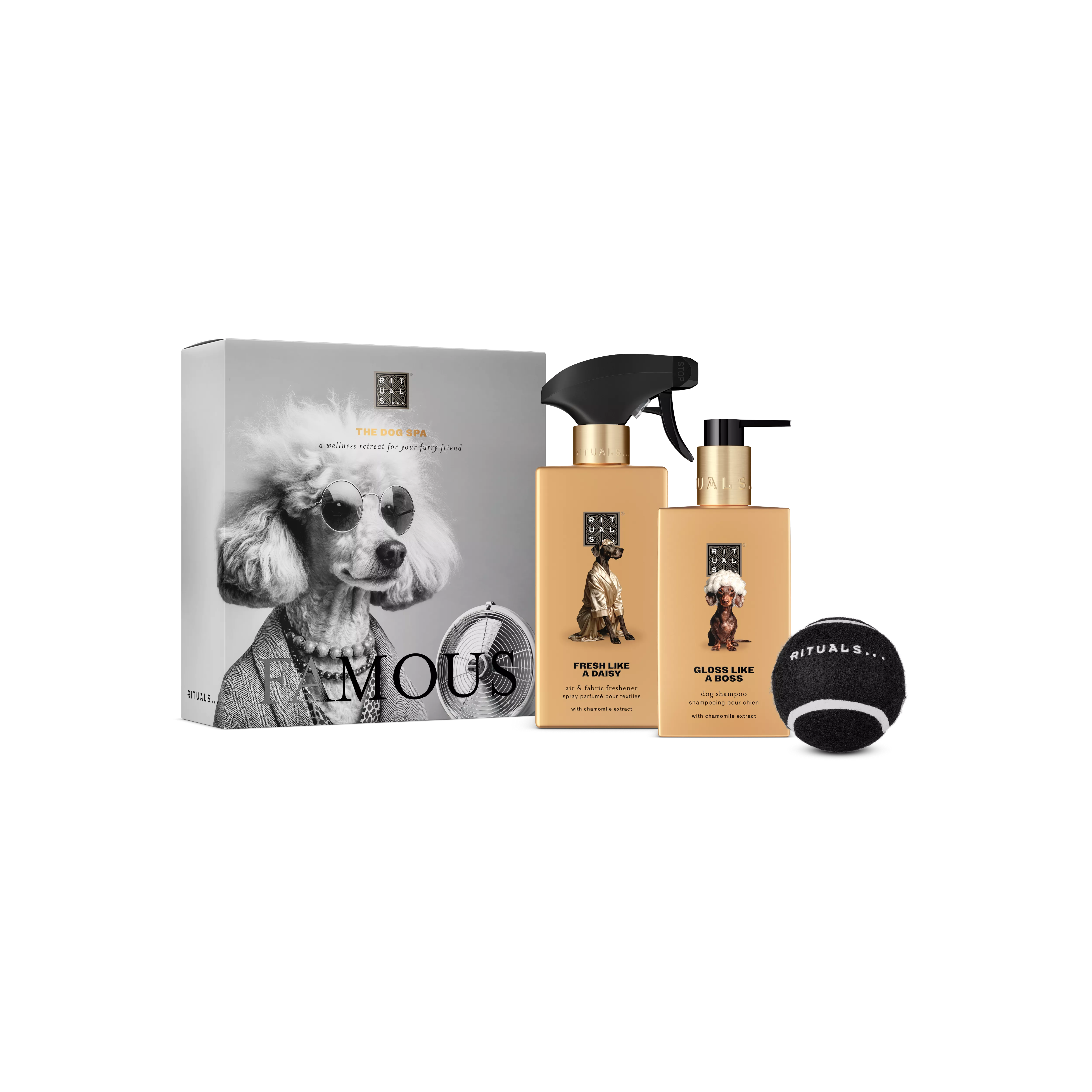 Dog Essentials Set