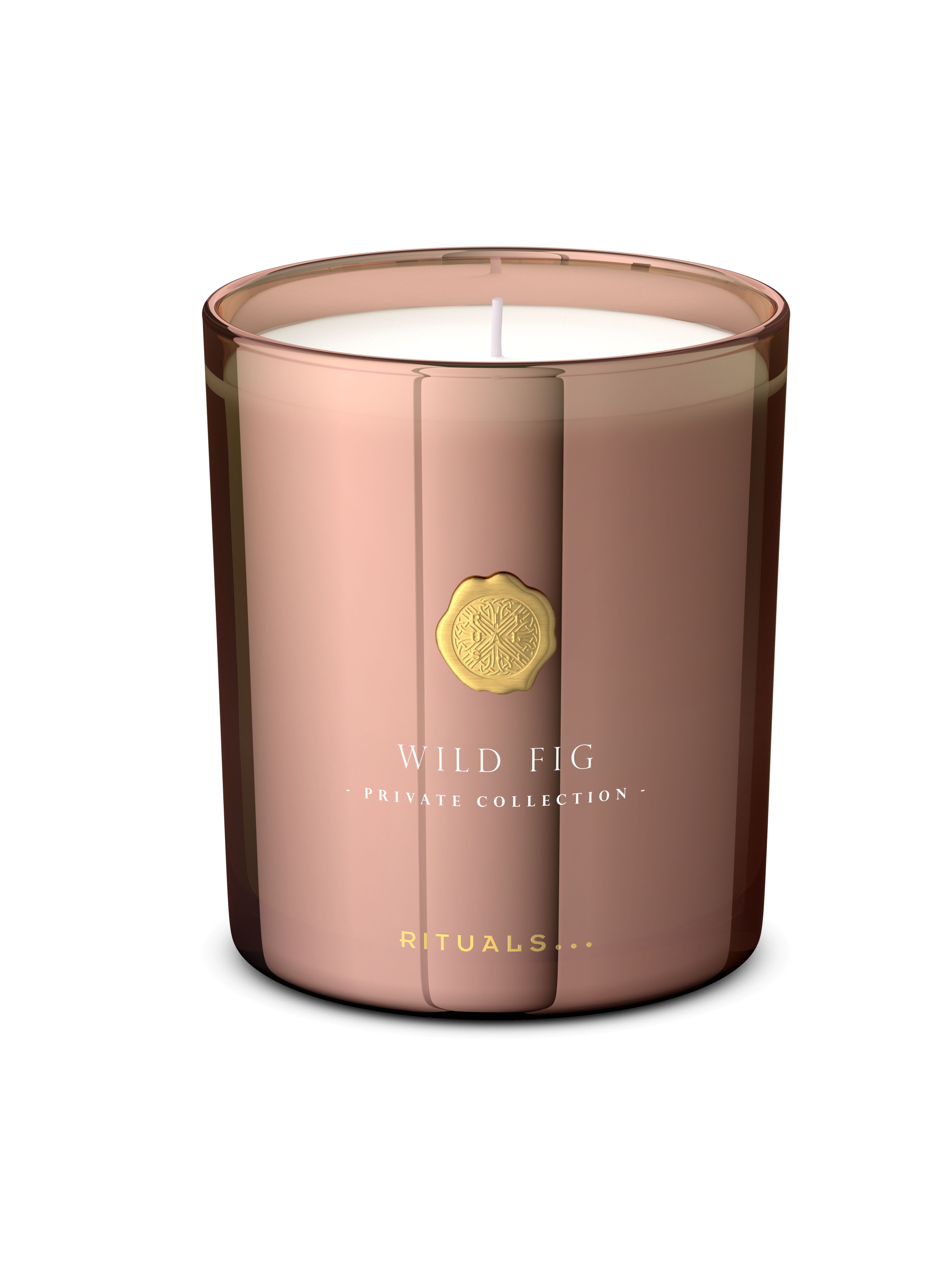 Wild Fig Scented Candle