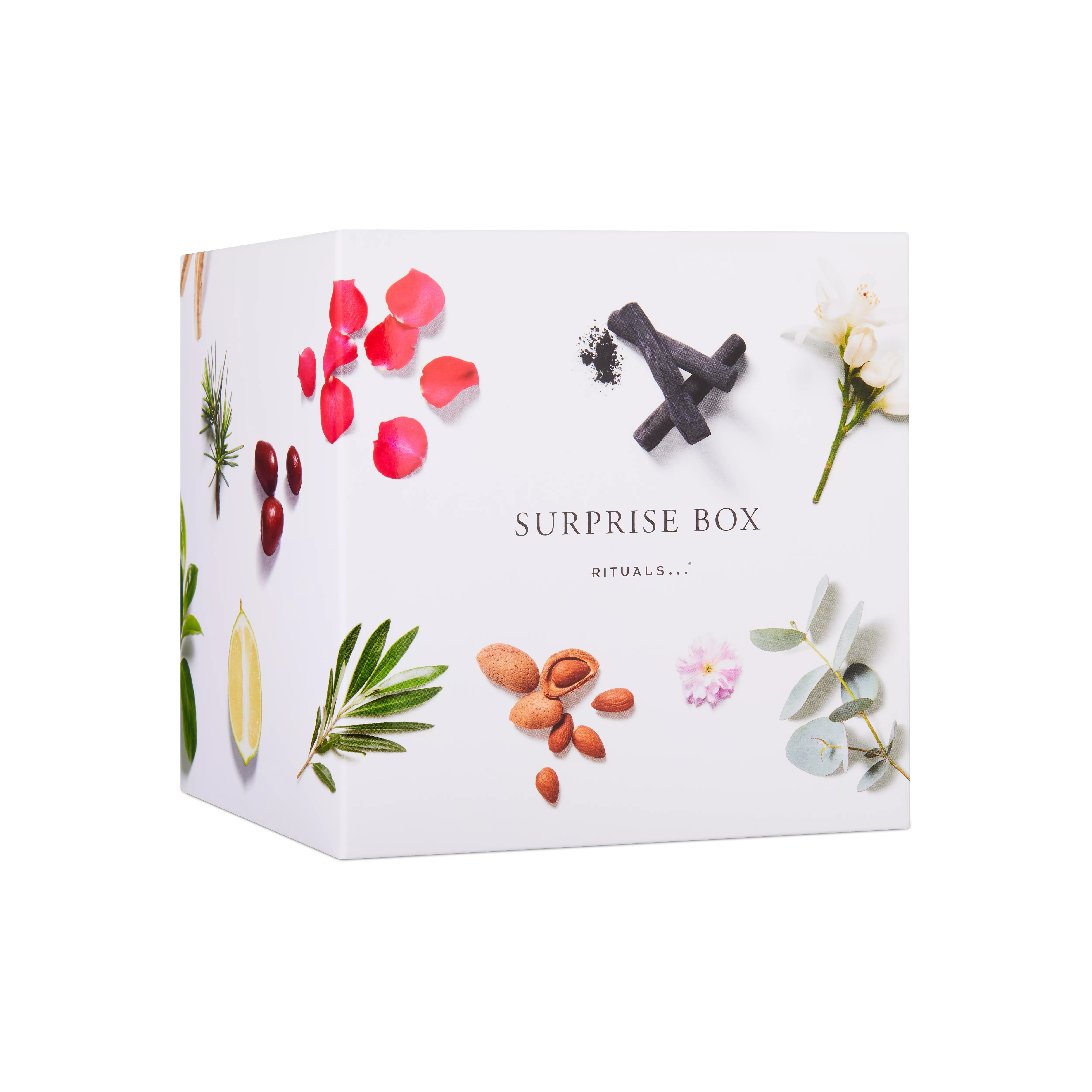 Surprise Box XL