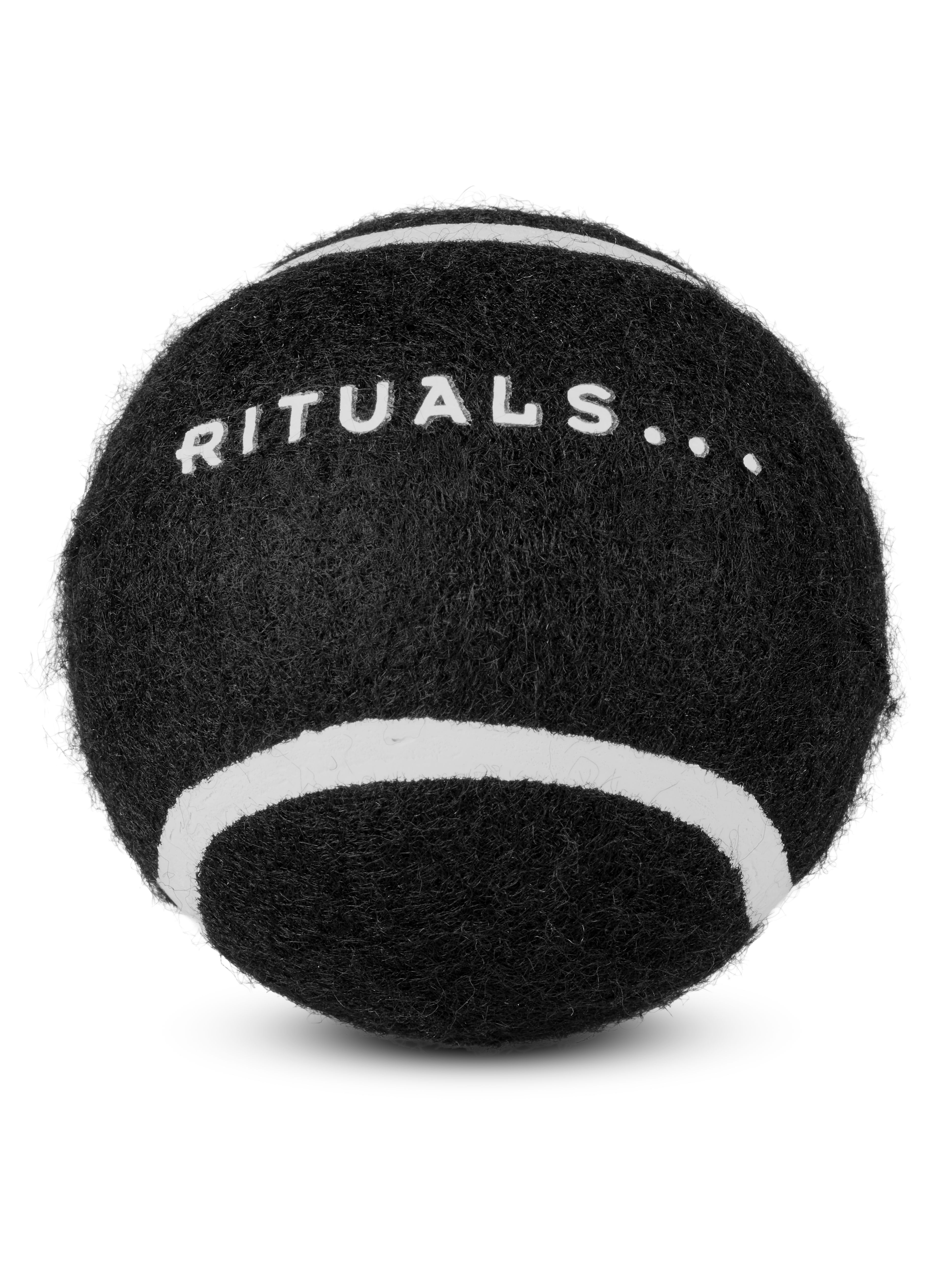 dog ball