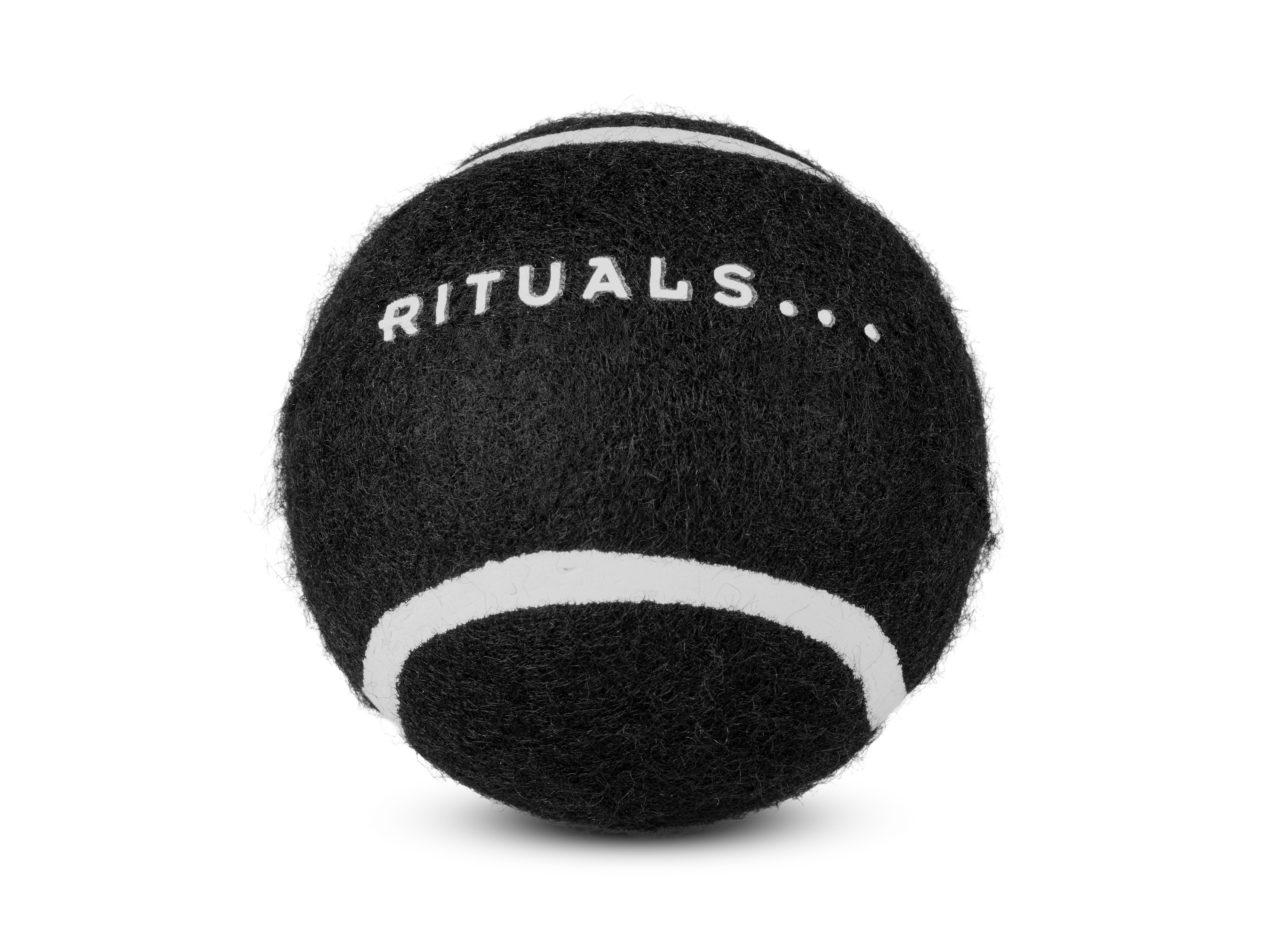 dog ball
