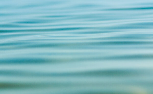 The benefits of forgiveness and how to do it