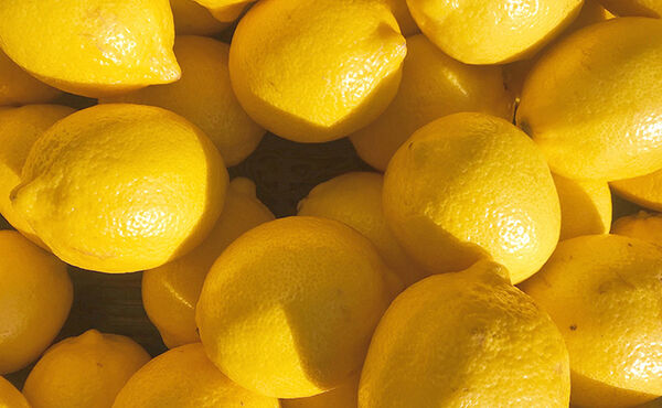 Pile of ripe yellow lemons in sunlight, celebrating energising citrus fragrances and their uplifting effects.