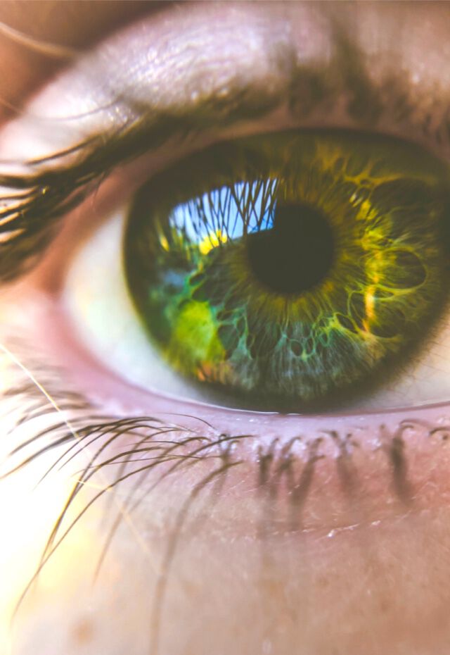 An expert guide to discovering and loving your authentic self