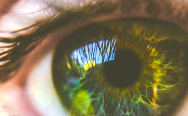 An expert guide to discovering and loving your authentic self