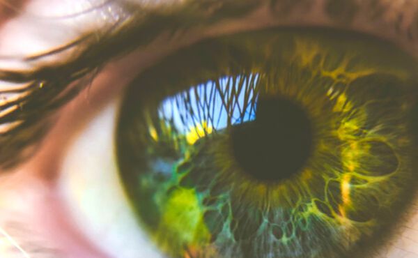 En expertguide till att hitta och älska ditt sanna jag