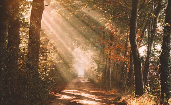 Terapia światłem: podstawy naukowe kryjące się za domowymi sposobami na ciemniejsze dni