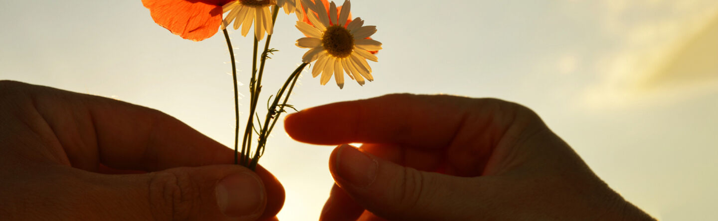 The glorious happiness-boosting benefits of cultivating gratitude