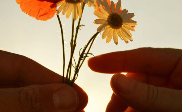 I meravigliosi benefici di coltivare la gratitudine che aumentano la felicità