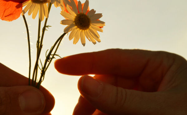 Los maravillosos beneficios de la gratitud que aumentan la felicidad