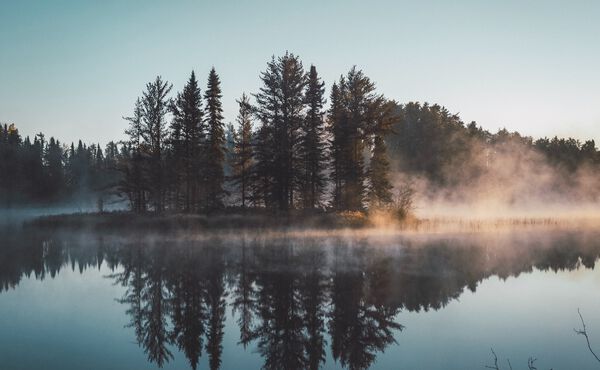 Tus sueños: El significado oculto de las historias que creas mientras duermes