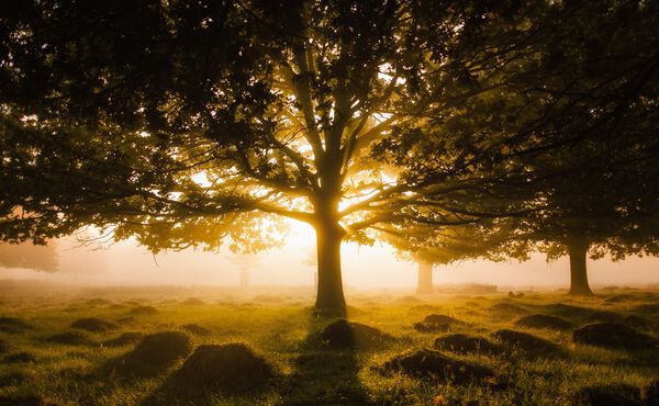 Hitta ditt fokus med denna grundande meditation