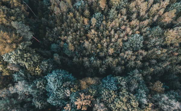 This mindful meditation only takes 5 minutes of your time