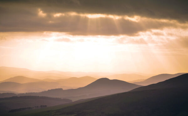 Technology: how to use it to bring you joy