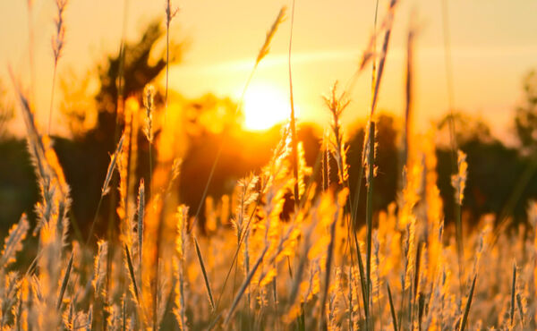 Come mettere a tacere il tuo critico interiore, pensare in modo più positivo e crederci 