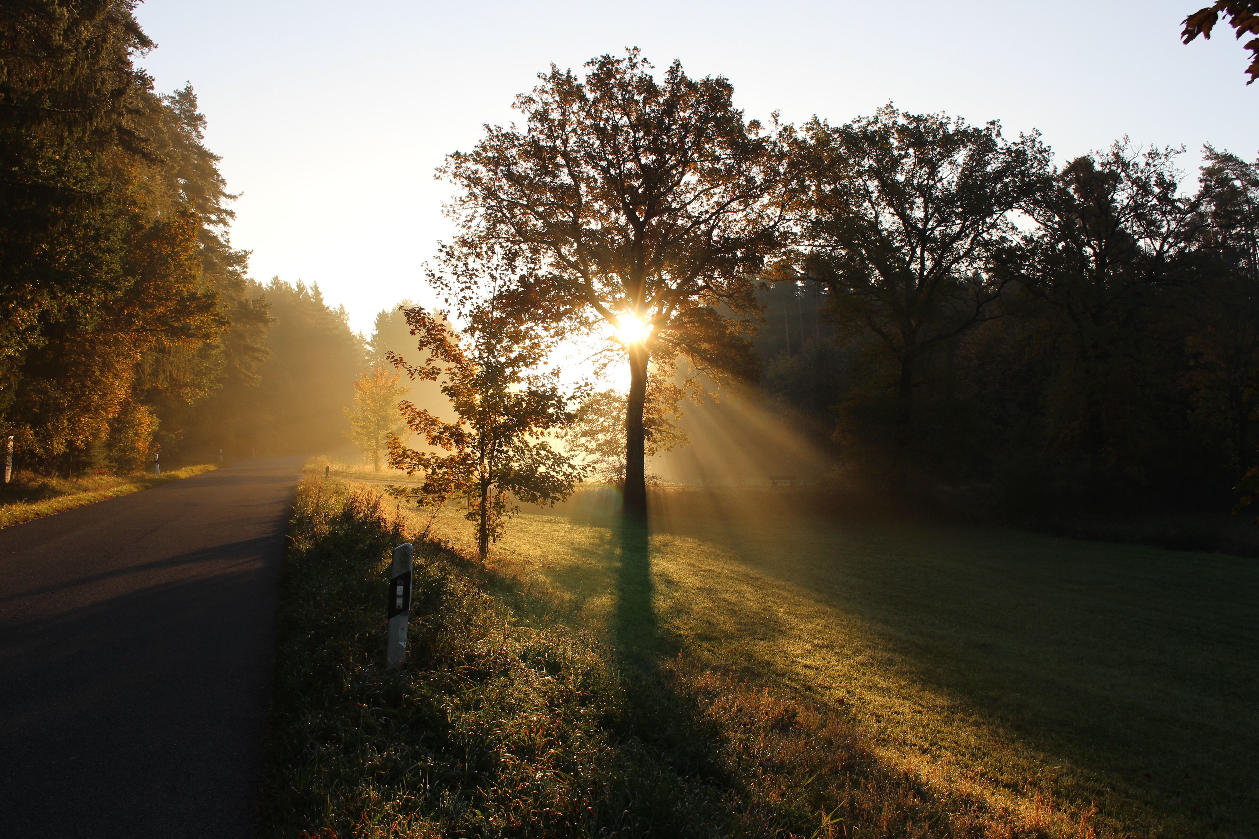 Find your flow from day to night and back again