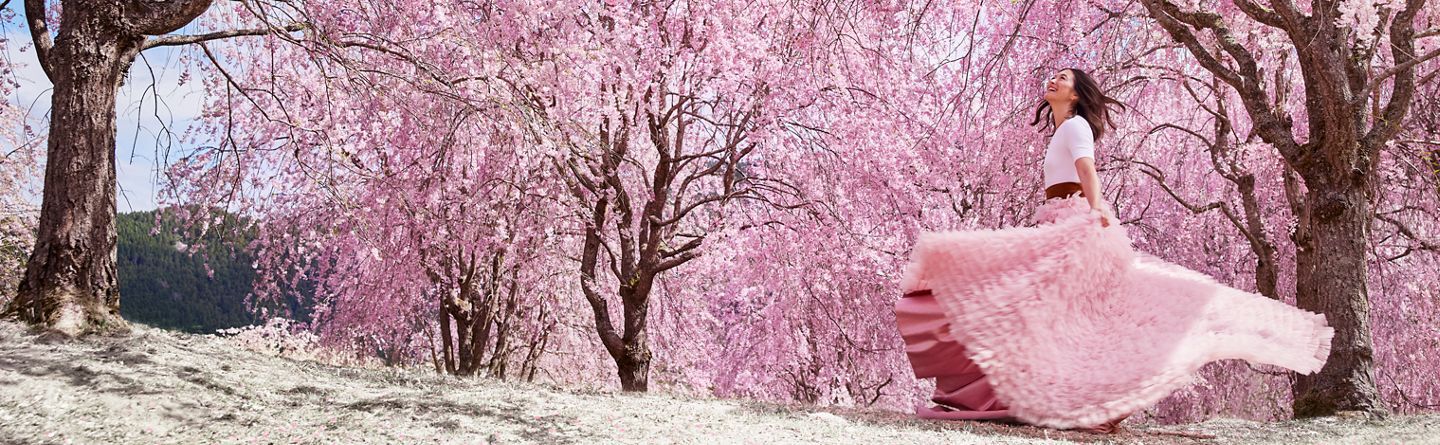 Sakura : d&eacute;couvrez la c&eacute;r&eacute;monie japonaise du Hanami