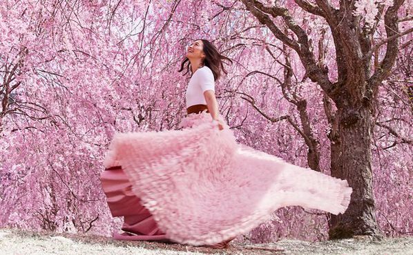 Sakura : découvrez la cérémonie japonaise du Hanami