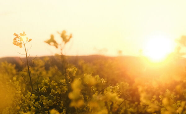 Pensar positivo: como fazê-lo e deixar que inspire a sua vida