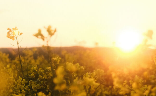 Pensar en positivo: cómo conseguirlo y dejar que guíe tu vida