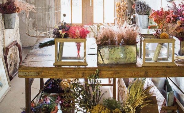 La maison du bien-&ecirc;tre : invitez la nature chez vous