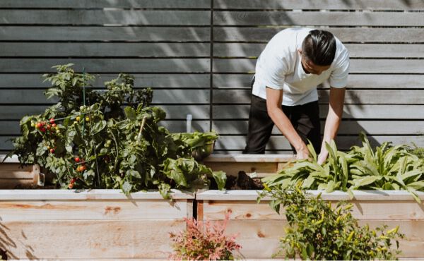 6 foodie tricks that are healthy for you and the planet