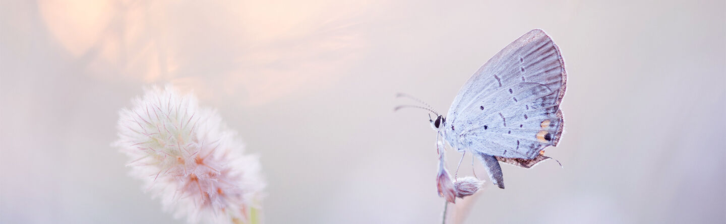 Hvordan bruke mindfulness til &aring; lette de store bekymringene i livet