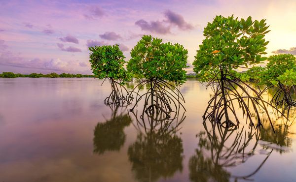How your refill purchase is helping to protect the planet