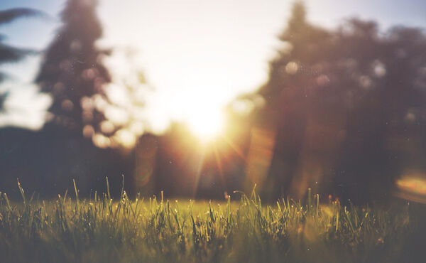Discover the meaning of light in your daily routine