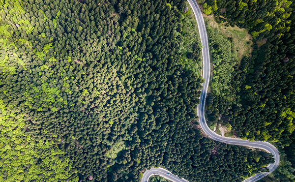 Das Leben manifestieren, das wir uns wünschen – Eine Anleitung 