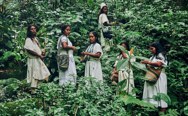 Arhuaco community members walking among green forest in sacred land which they are fighting to protect.