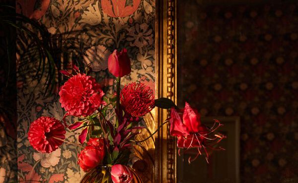 Eine Vase mit dunkelroten Blumen im warmen Abendlicht, die einem Wohnraum Luxus und Eleganz im Hotel-Stil verleihen soll.