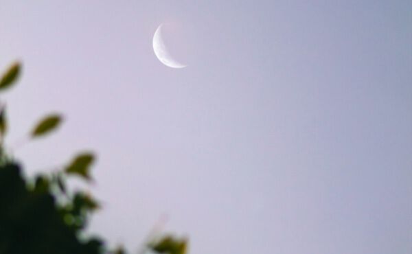 Lunar Living e como a lua afeta a sua rotina de sono