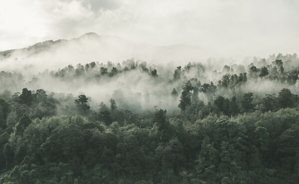 Prueba una meditación guiada de 15 minutos para despertar la conciencia