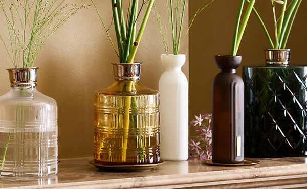 De vasos de plantas a caixas de fotos: ideias para reutilizar os produtos Rituals usados