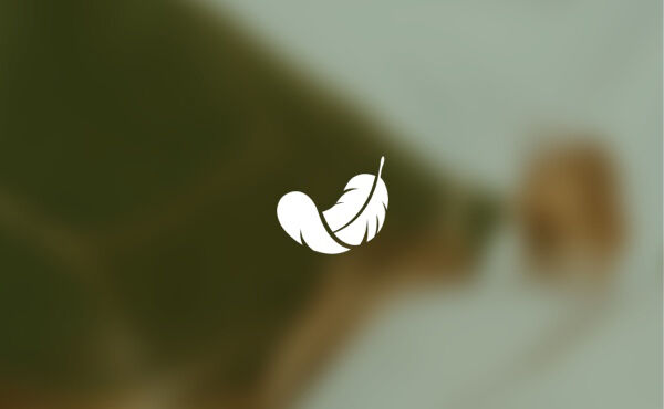 Ihre 14-t&auml;gige Reise zu erholsamem Schlaf &ndash; so funktioniert es