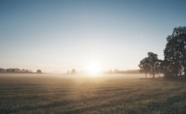 Lernen Sie ein neues morgendliches Ritual kennen, das Ihnen mehr Energie verleiht